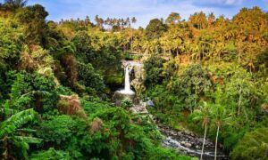 bali tegenungan waterfall bali travel guide