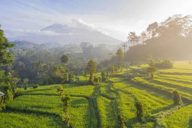 Volcanoes & Mountains in Bali: My Best Hiking Trails