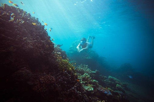 Best Scuba Diving Spots in Bali to Try In 2024