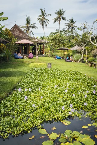 Picture1 4 Restarants to Eat in Ubud