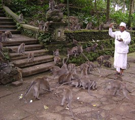 Picture17 Breakfast Places in Ubud