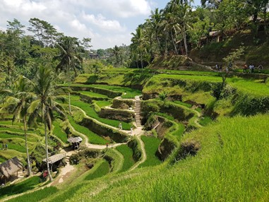 Picture20 Breakfast Places in Ubud