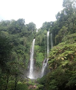 Picture21 17 Bali waterfalls