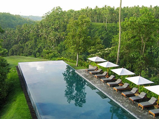 Top 10 best accomodations in Ubud ( luxury and budget ) 2024