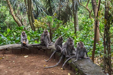 Picture27 7 Fun Things to Do in Lombok