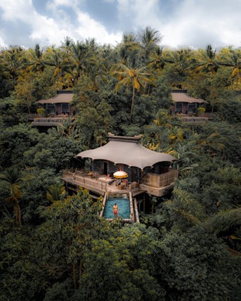 Picture28 10 Top 10 best accomodations in Ubud ( luxury and budget ) 2024