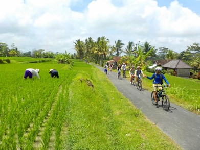 Picture30 Breakfast Places in Ubud