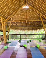 Picture31 1 Ubud Yoga Studios