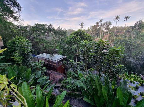 Picture32 10 Top 10 best accomodations in Ubud ( luxury and budget ) 2024