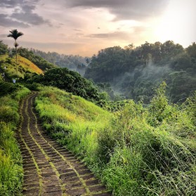 Picture42 5 Top 10 best accomodations in Ubud ( luxury and budget ) 2024