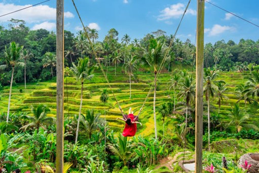 Picture46 4 Top 10 best accomodations in Ubud ( luxury and budget ) 2024