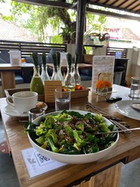 Picture55 Vegan Restaurants in Ubud