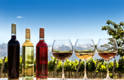 Best wineries by region in Australia [ Ultimate guide 2024 ]