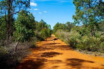 Picture2 12 Walking Trails in Perth