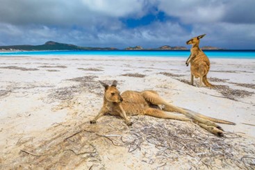 Picture20 Beautiful Beaches in Western Australia