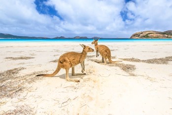 Picture6 Beautiful Beaches in Western Australia