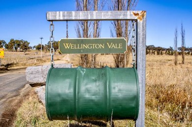 Picture9 5 Best wineries by region in Australia [ Ultimate guide 2024 ]