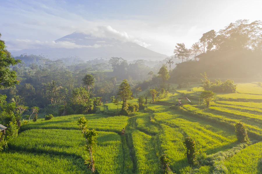 image 11 Romantic things to do in Bali