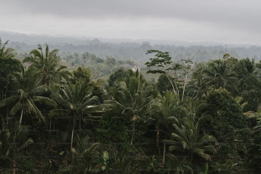 image 17 Bali in December