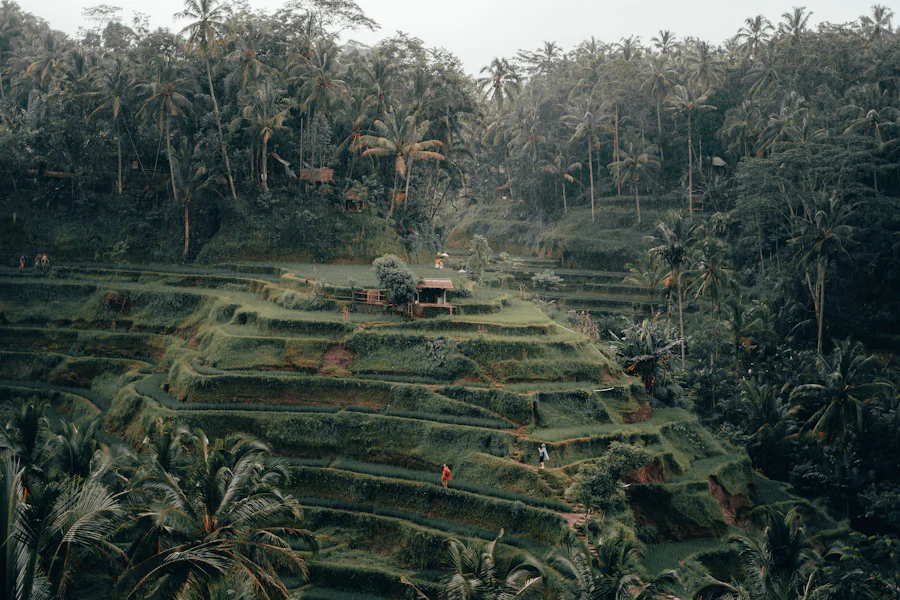 image 85 Vegan Restaurants in Ubud