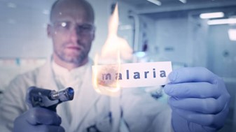 Malaria Travel Information