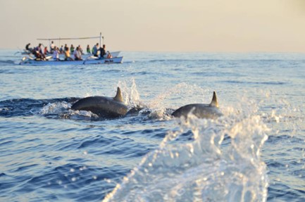 Picture8 5 Cabo Fishing Charters