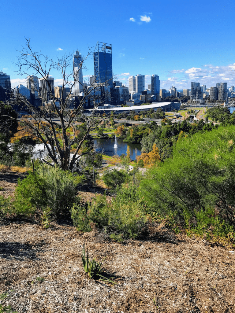 image 17 Best Beaches in Perth