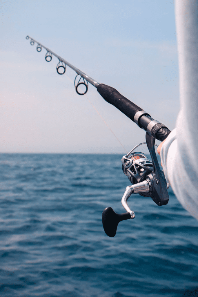 Cabo Fishing Charters