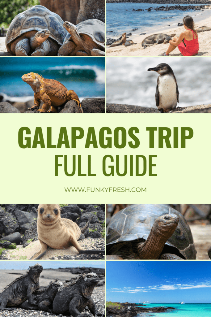 Gualapagos trip Full guide