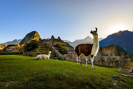 Picture1 5 Where to Stay in Cusco Peru