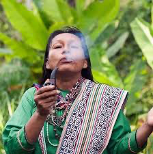 image 67 Best Ayahusaca Retreats Peru