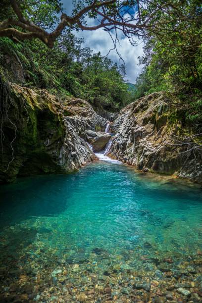 A vertical shot of a beautiful flowing creek in Bajos del Toro, Costa Rica
