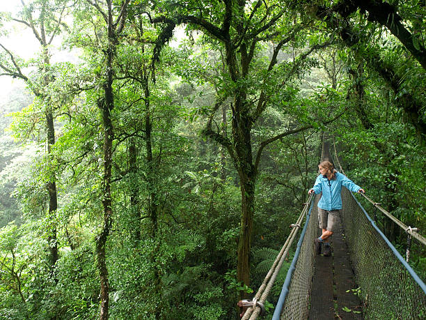 A woman on a hanging bridge in the monteverde cloudforest, Costa Rica