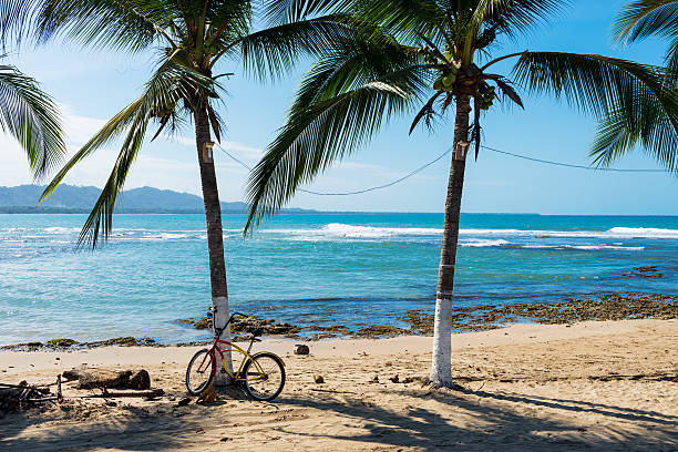 View of a beach with palm trees in Puerto Viejo de Talamanca, Costa Rica, Central America