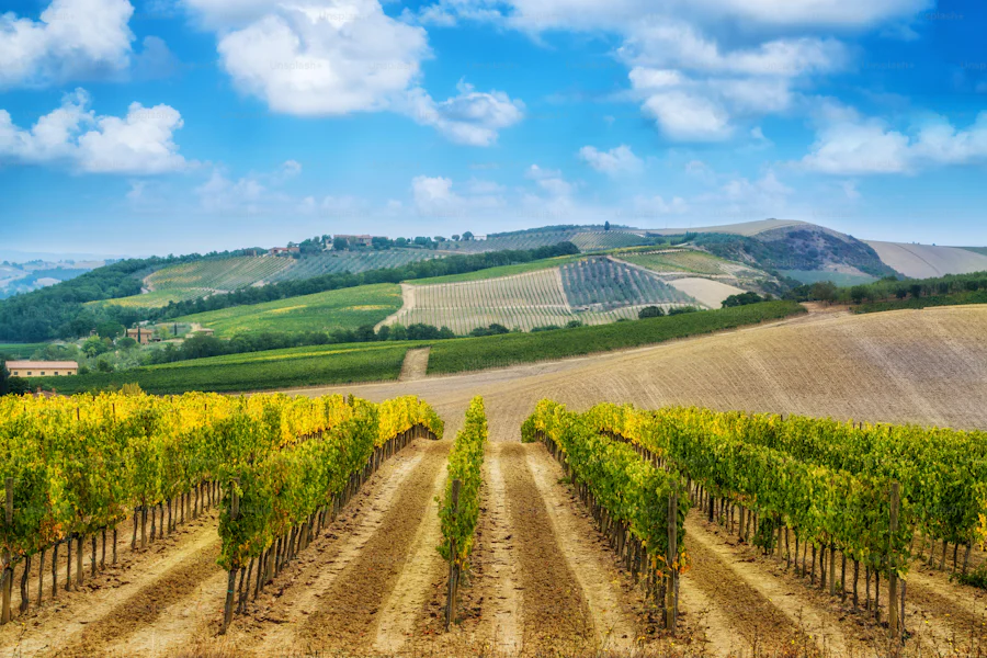 image 37 Wineries in Blue Mountains