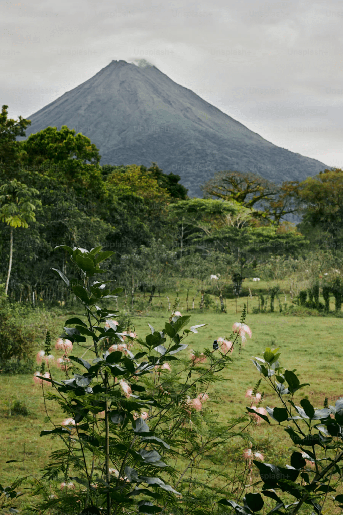 image 46 Best Hotels in Costa Rica