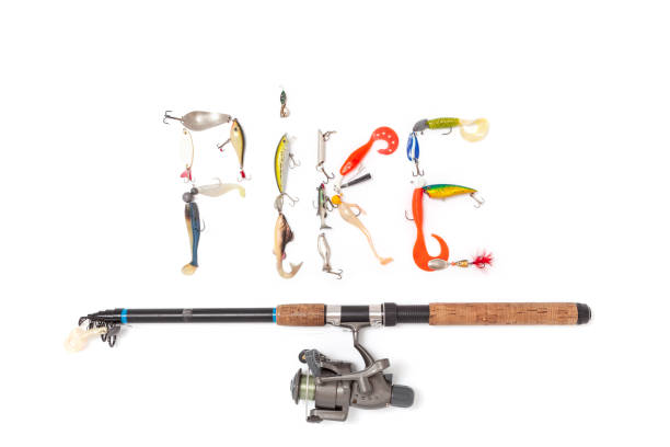 The word pike is made up of letters with a unique design of spinner, wobbler and twister on a white background. Nearby lies a spinning reel