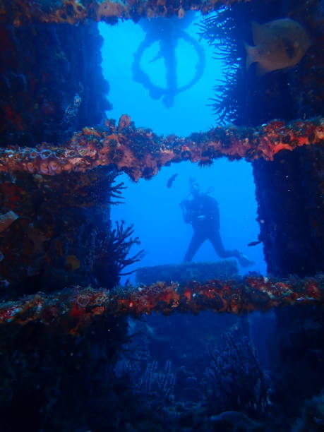 Exploring sunken military ship