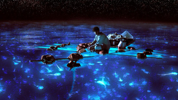 bioluminescent life of pi