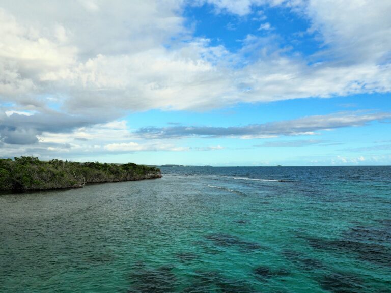 Bioluminescent Puerto Rico’s bays. Best spots and tips [2024]