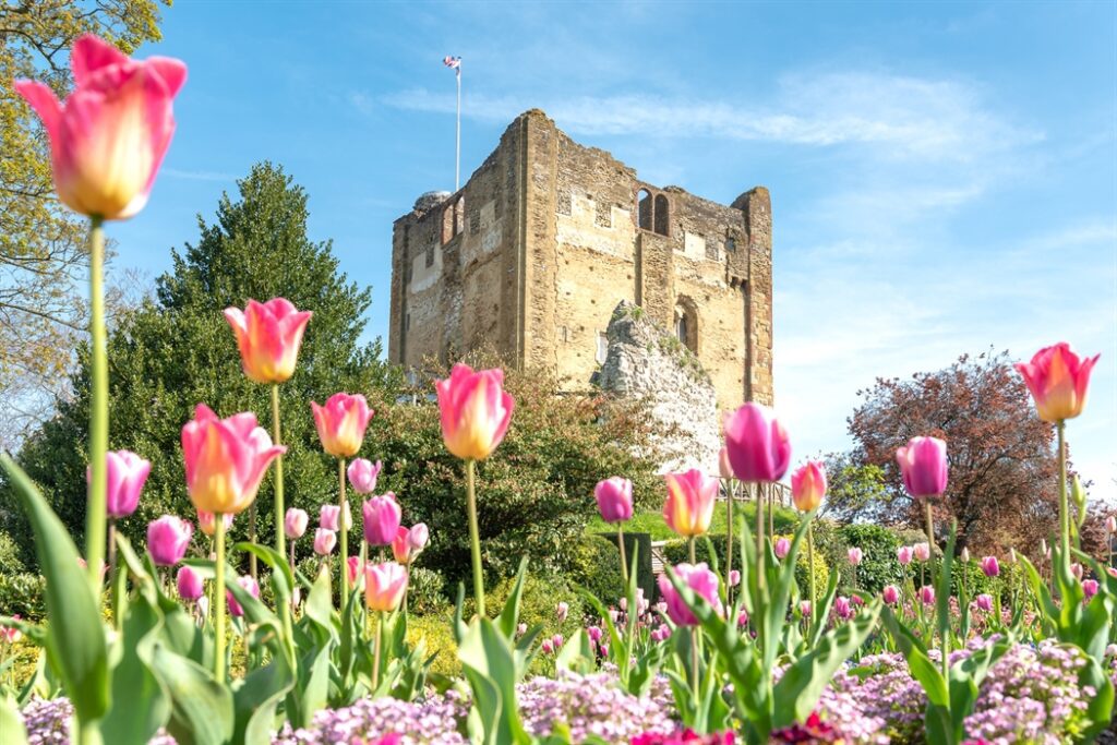 14. Guildford Castle Grounds 1507508917