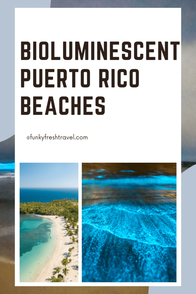 Bioluminescent Puerto Rico beaches