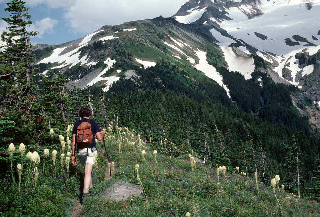 Timberline Trail