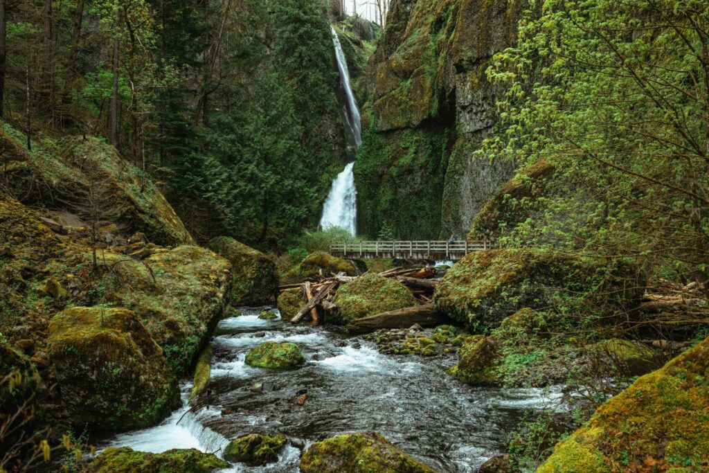 Wahclella Falls Trail Columbia River Gorge The Mandagies 24 scaled 1