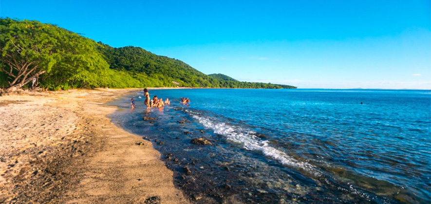 culebra playa tamarindo6