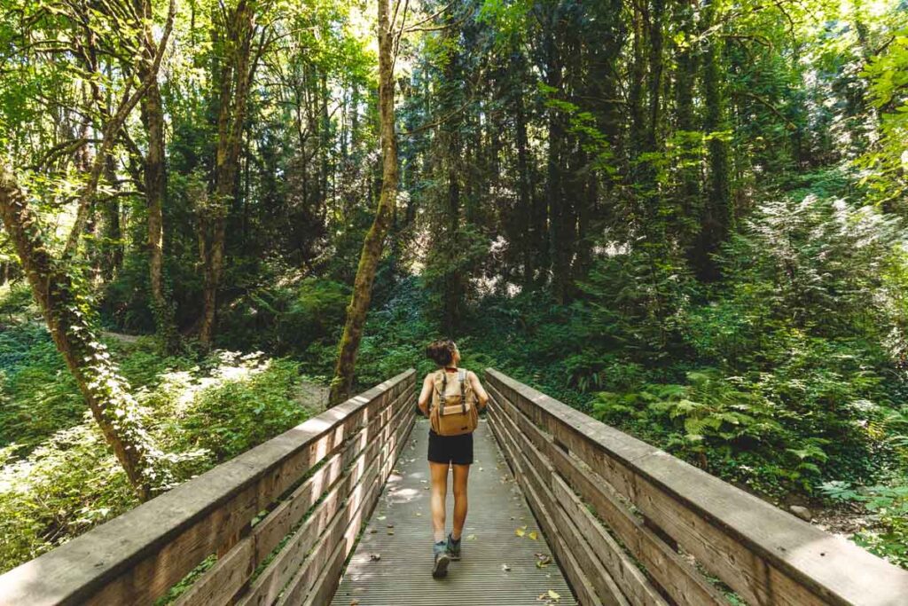 marquam nature park