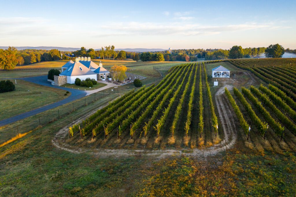 20191015 Boxwood Winery 0003 copy