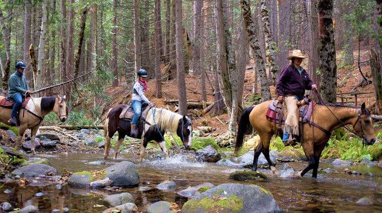 Yosemite Trails summer