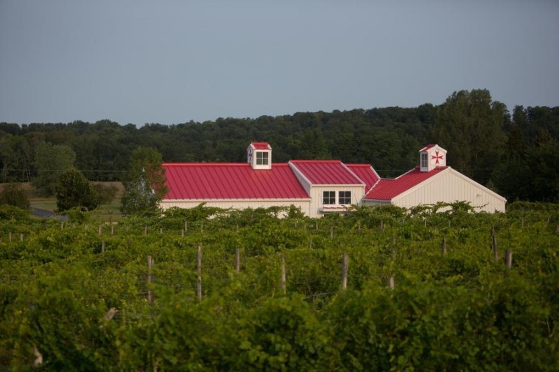 2935 Tabone Vineyards