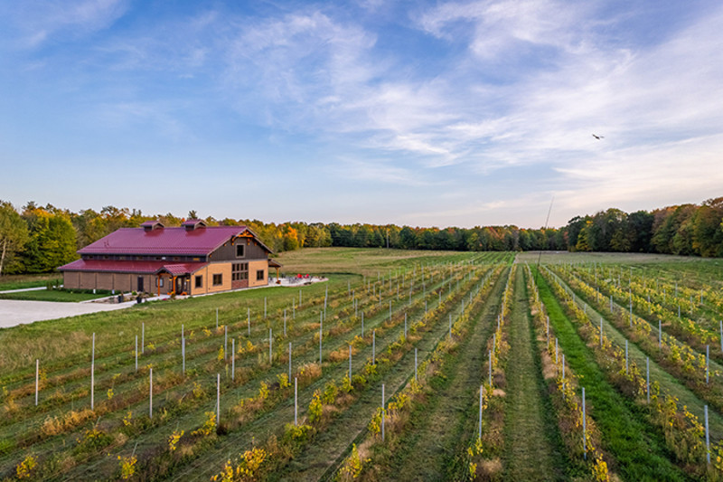 Anchored Roots Winery H 1FF3F2B1 BA07 E9D7 2C55FF5A5FC2D641 1ff3f106cd35b81 1ff3fd12 ee6e 43fc 41c0521cdfd3c866